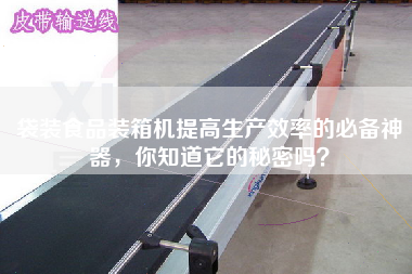 袋裝食品裝箱機(jī)提高生產(chǎn)效率的必備神器，你知道它的秘密嗎？