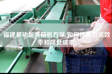 福建多功能裝箱機方案(如何提高包裝效率和降低成本)