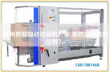 杭州抓取自動(dòng)裝箱機(jī)廠家(哪些品牌值得信賴？)