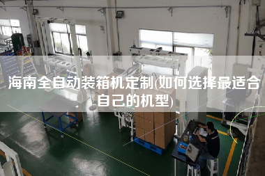 海南全自動(dòng)裝箱機(jī)定制(如何選擇z適合自己的機(jī)型)