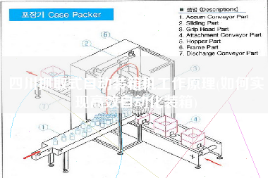四川抓取式自動裝箱機(jī)工作原理(如何實(shí)現(xiàn)高效自動化裝箱)