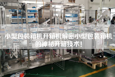 小型包裝箱機(jī)開箱機(jī)解密小型包裝箱機(jī)的神秘開箱技術(shù)！