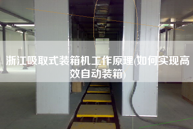 浙江吸取式裝箱機(jī)工作原理(如何實現(xiàn)高效自動裝箱)
