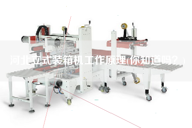 河北立式裝箱機(jī)工作原理(你知道嗎？)