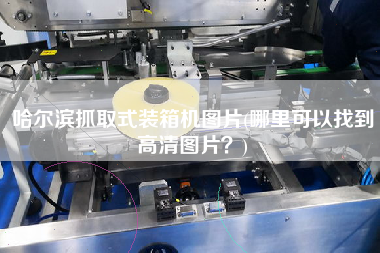 哈爾濱抓取式裝箱機(jī)圖片(哪里可以找到高清圖片？)