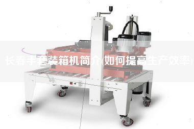 長春手套裝箱機(jī)簡介(如何提高生產(chǎn)效率)