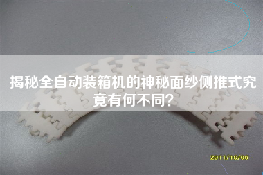 揭秘全自動裝箱機(jī)的神秘面紗側(cè)推式究竟有何不同？