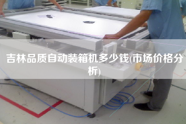 吉林品質(zhì)自動(dòng)裝箱機(jī)多少錢(qián)(市場(chǎng)價(jià)格分析)