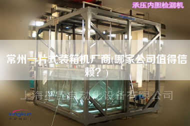 常州一片式裝箱機(jī)廠商(哪家公司值得信賴？)
