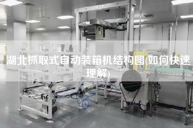 湖北抓取式自動(dòng)裝箱機(jī)結(jié)構(gòu)圖(如何快速理解)