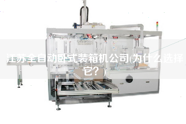 江蘇全自動臥式裝箱機公司(為什么選擇它？)