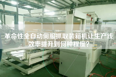 革命性全自動伺服抓取裝箱機讓生產(chǎn)線效率提升到何種程度？