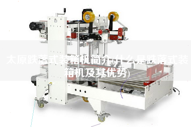 太原跌落式裝箱機簡介(什么是跌落式裝箱機及其優(yōu)勢)