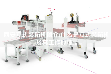 西安立式裝箱機簡介(什么是立式裝箱機及其工作原理)。