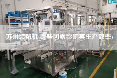 蘇州裝箱機(哪些因素影響其生產效率)