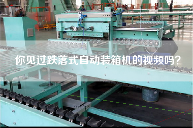你見過(guò)跌落式自動(dòng)裝箱機(jī)的視頻嗎? 你見過(guò)跌落式自動(dòng)裝箱機(jī)的視頻嗎?
