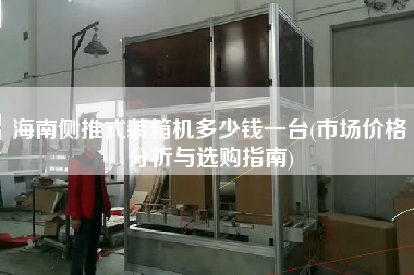 海南側(cè)推式裝箱機多少錢一臺(市場價格分析與選購指南)
