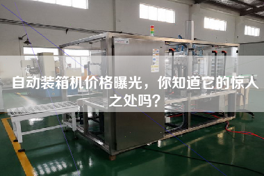 自動(dòng)裝箱機(jī)價(jià)格曝光，你知道它的驚人之處嗎？
