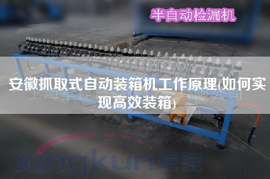 安徽抓取式自動裝箱機工作原理(如何實現(xiàn)高效裝箱) 安徽抓取式自動裝箱機工作原理(如何實現(xiàn)高效裝箱)