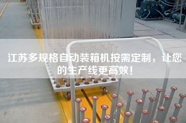 江蘇多規(guī)格自動裝箱機(jī)按需定制，讓您的生產(chǎn)線z高效！