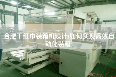 合肥干紙巾裝箱機設(shè)計(如何實現(xiàn)高效自動化裝箱)