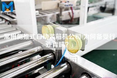 常州側推式自動裝箱機公司(為何備受行業(yè)青睞？)